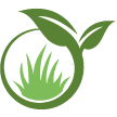 Wichita Falls Lawn Clean Up
