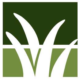 Wichita Falls Lawn Clean Up