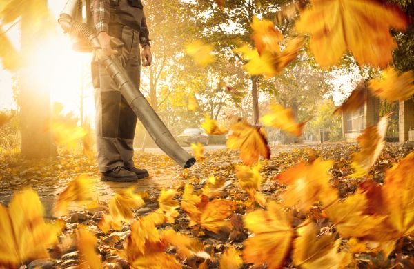 Leaf Blowing Service in Wichita Falls