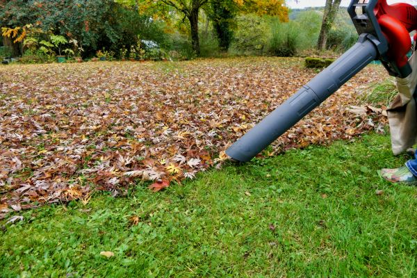 Leaf Vacuuming Service in Wichita Falls