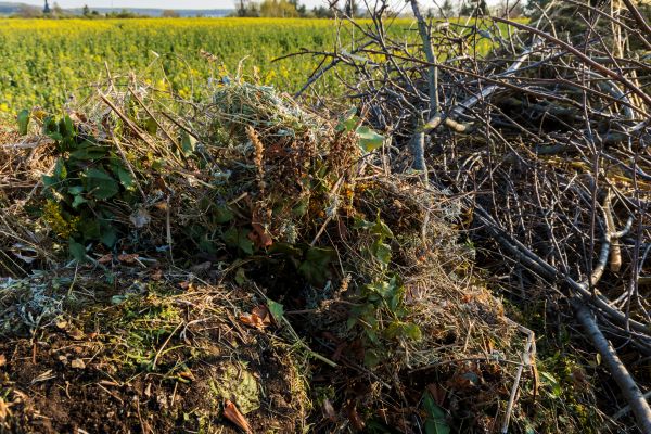 Brush Disposal in Wichita Falls