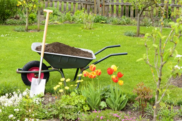 Spring Yard Cleanup in Wichita Falls
