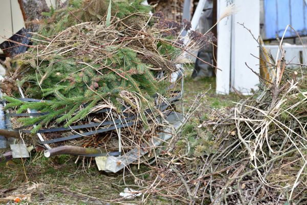 Yard Waste Removal Service in Wichita Falls