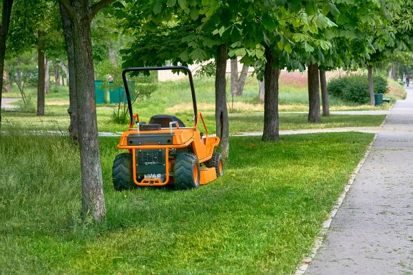 Landscaping Cleanup Service in Wichita Falls