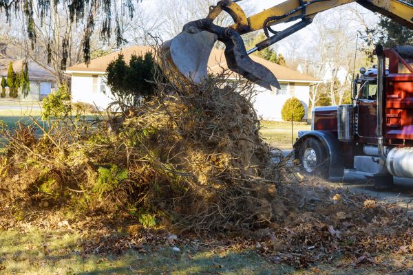 Storm Debris Removal in Wichita Falls