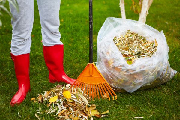 Leaf Disposal Service in Wichita Falls