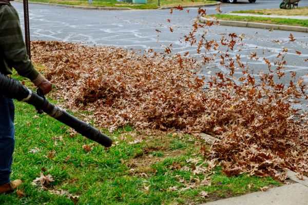 Garden Leaf Removal in Wichita Falls