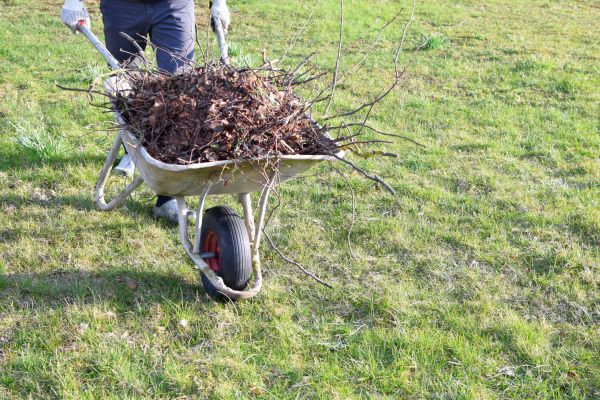 Yard Brush Removal in Wichita Falls
