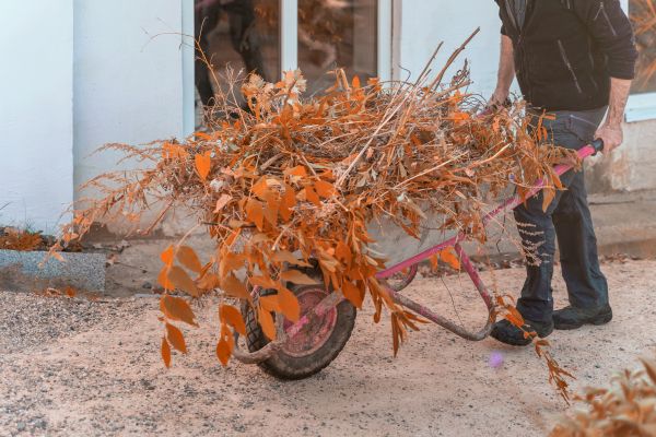 Cost of Lawn Debris Cleanup in Wichita Falls