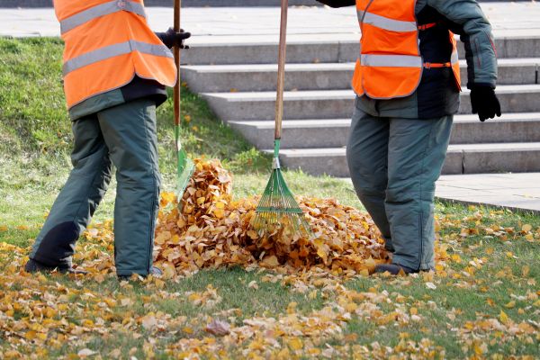 Leaf Hauling Service in Wichita Falls