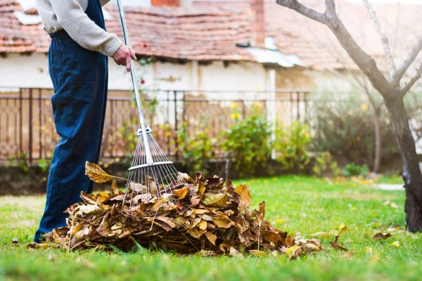 Spring Lawn Cleanup in Wichita Falls