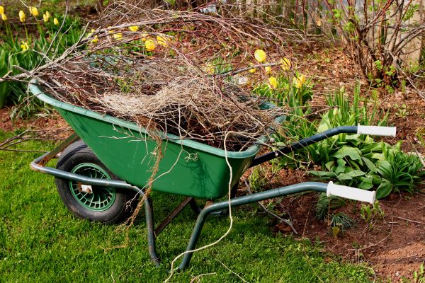 Lawn Waste Removal in Wichita Falls