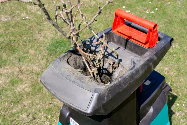 Cost of Brush Cleanup Service in Wichita Falls