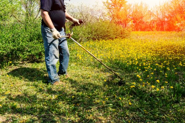 Yard Clearing Service in Wichita Falls