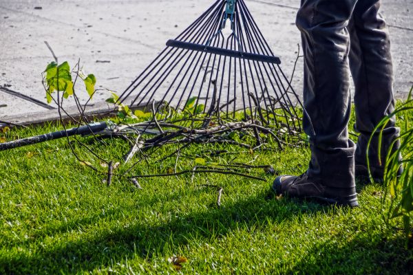 Yard Debris Cleanup in Wichita Falls