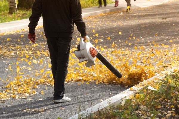 Commercial Leaf Removal in Wichita Falls