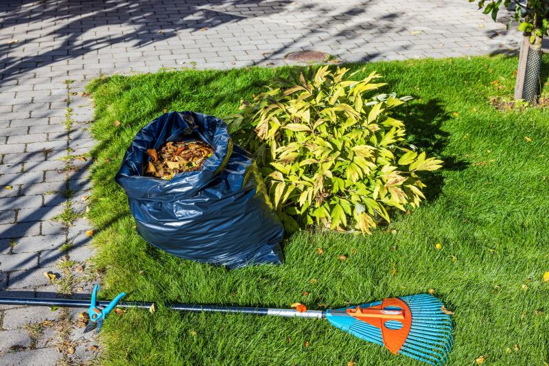 Lawn debris removal in autumn